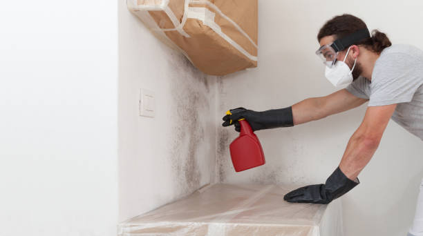 Professional Bathroom Mold Removal technician working in Newton Lower Falls, MA